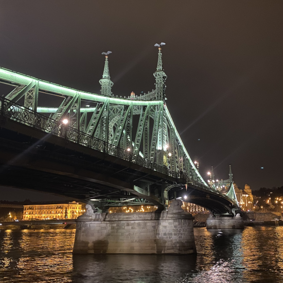 Turul Budapest Freiheitsbrücke